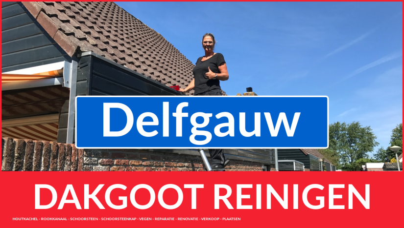 dakgoot reinigen Delfgauw