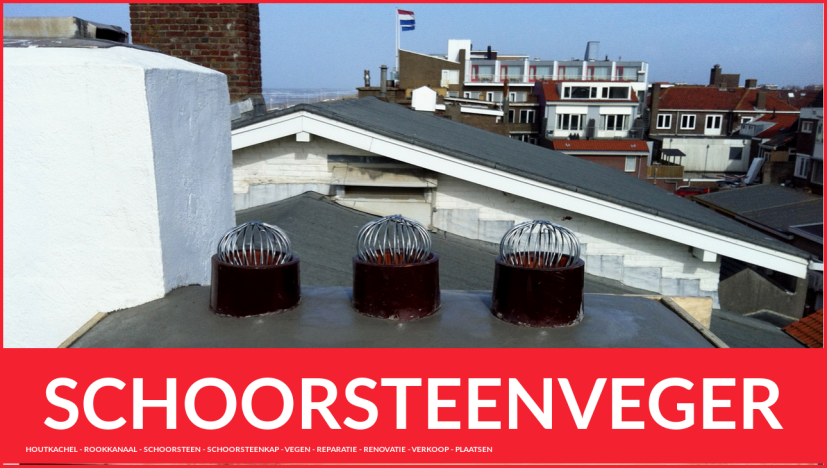 dak en schoorsteen specialist Bilderdam