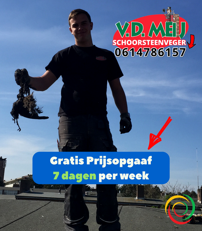 vogels verwijderen uit schoorsteen
