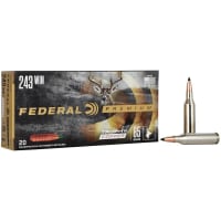 Premium 243 Win 85 Trophy Copper (20 pk.)