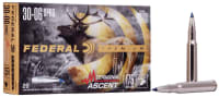 Terminal Acent 30-06 Win 175 grs (20 pk.)