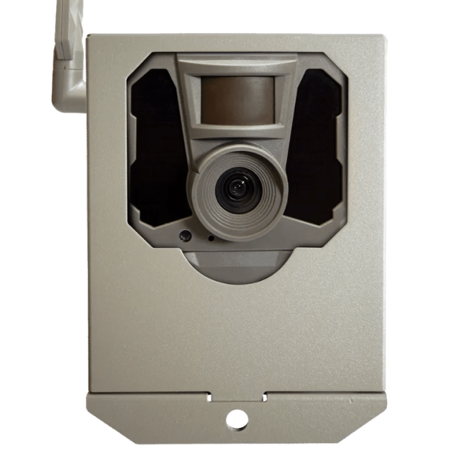 Reveal X Security Box