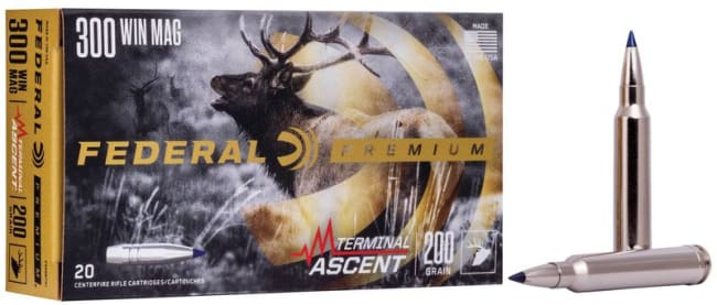 Terminal Acent 300 Win Mag 200grs (20 pk.)