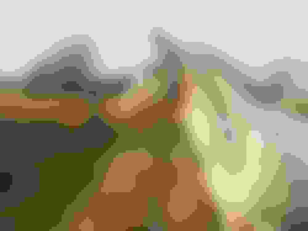 Wandelen door het natuurpark met Marlie