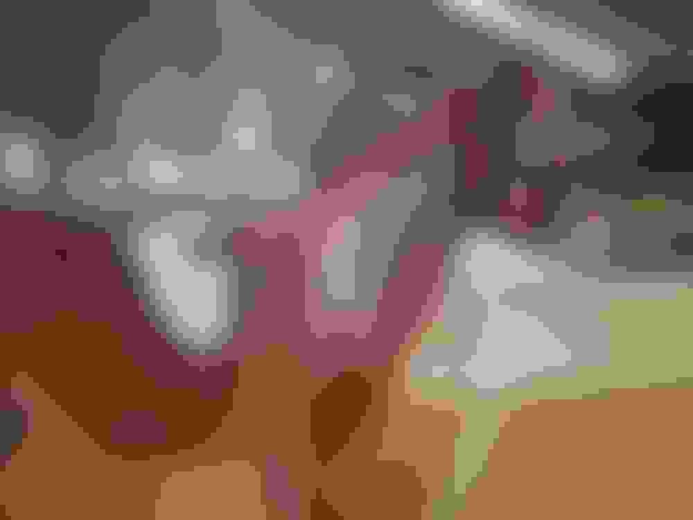 Jaarling Django met een slang op zijn rug