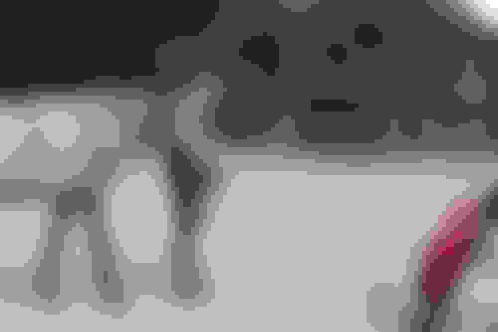 Jong arabisch paard bij de windmachine tijdens een schriktraining in Vuren