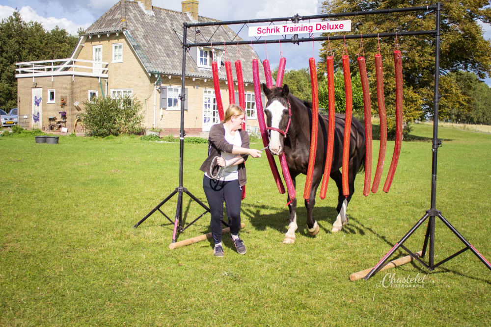 Esmée met haar knappe merrie
