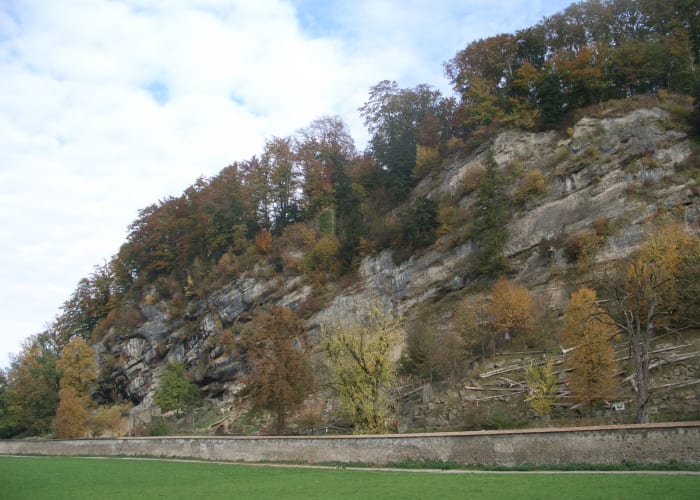 placeholder image-sq