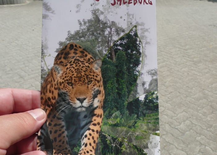 placeholder image-sq