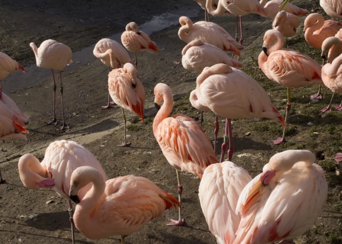 placeholder image-sq