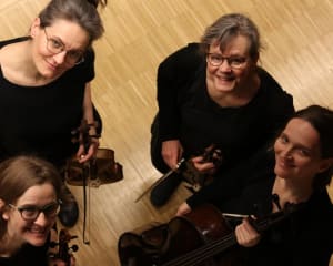 Dandelia Quartett