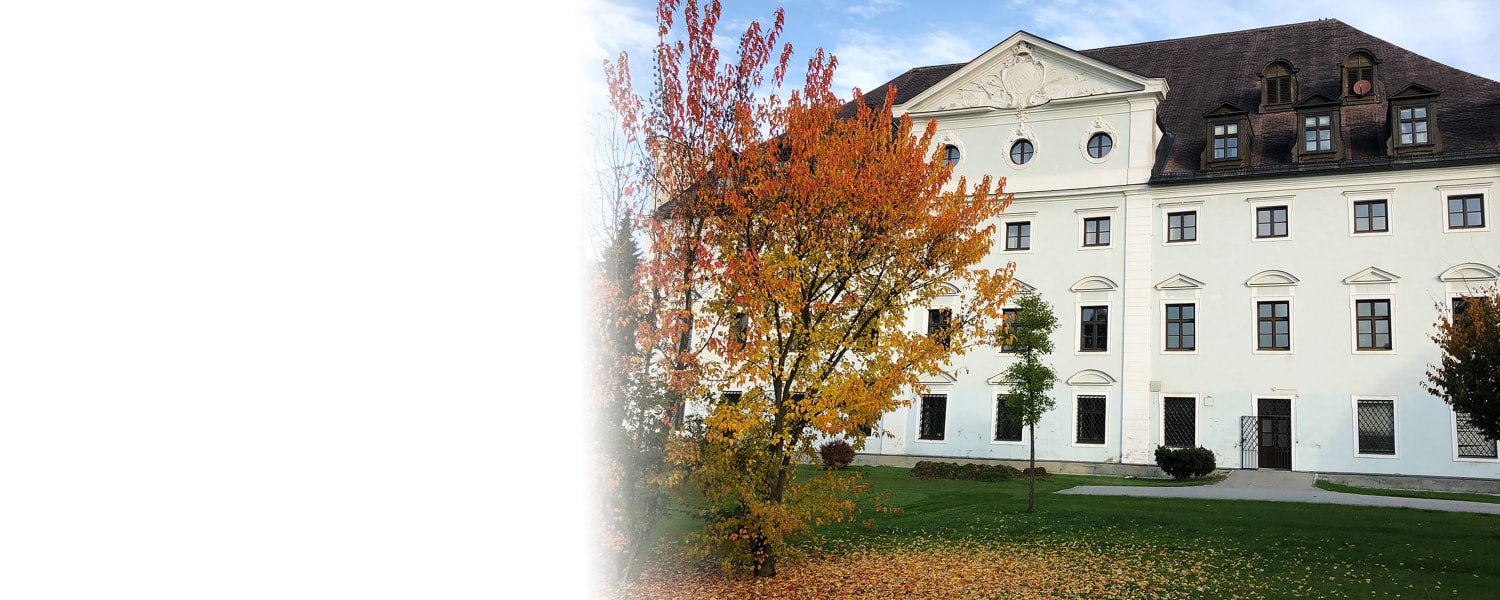 Austrian Master Classes Top Image