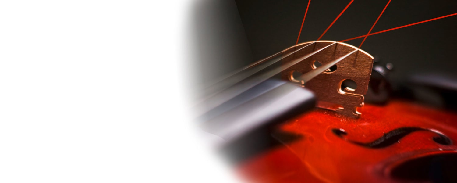 Austrian Master Classes Top Image