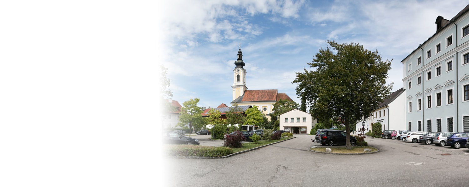 Austrian Master Classes Top Image