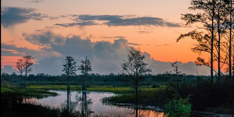 Louisiana Opportunity Capital