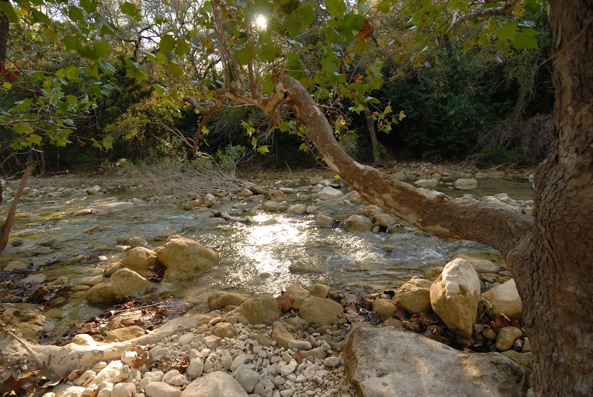 Purgatory Creek Natural Area