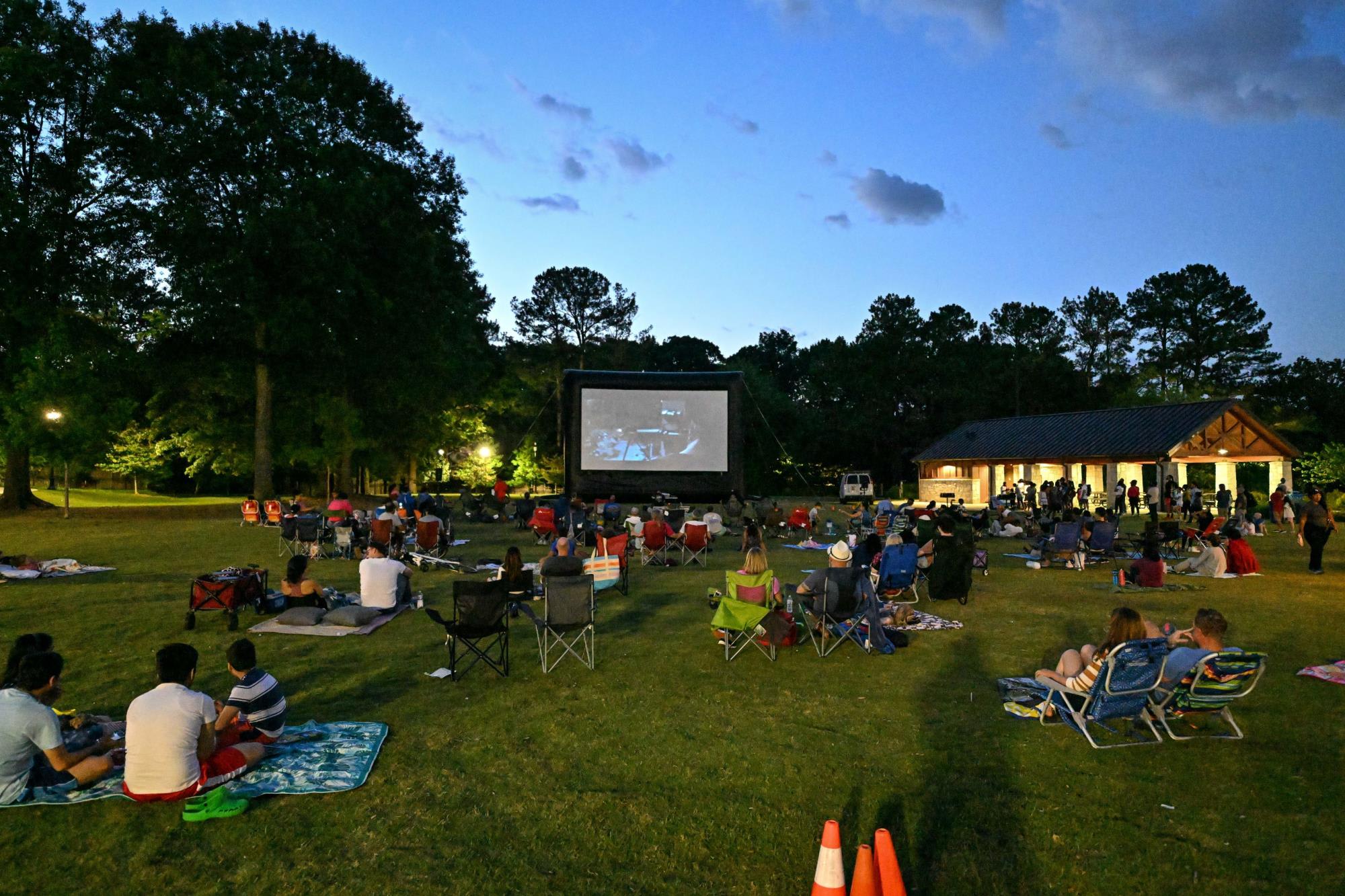 Pics in the Park Summer Movie Series