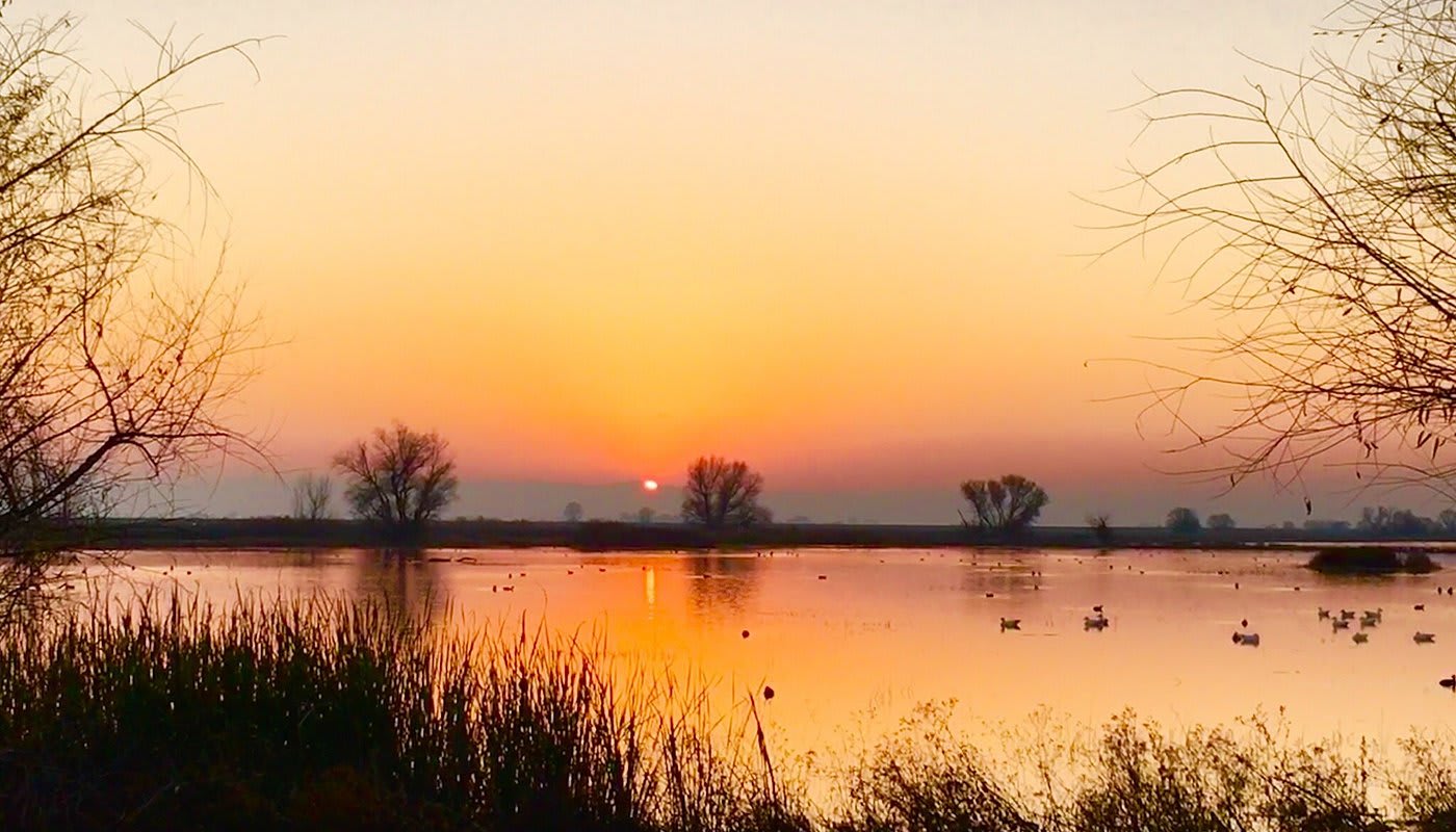 Merced National Wildlife Refuge
