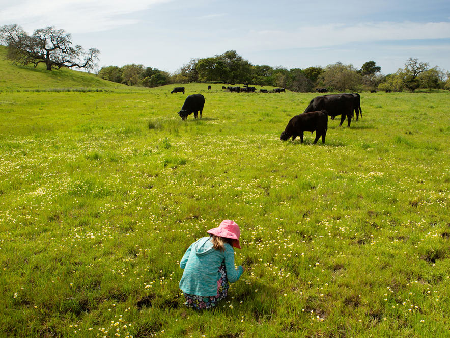 Cane Creek Regional Park