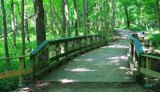 Ritchey Woods Nature Preserve