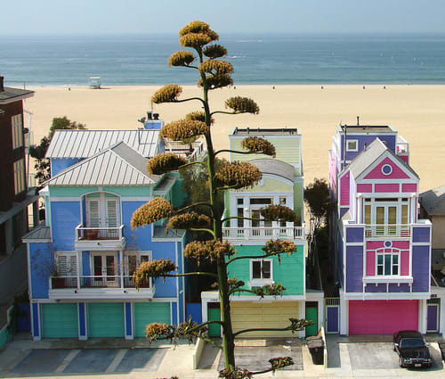 Santa Monica Beach Homes