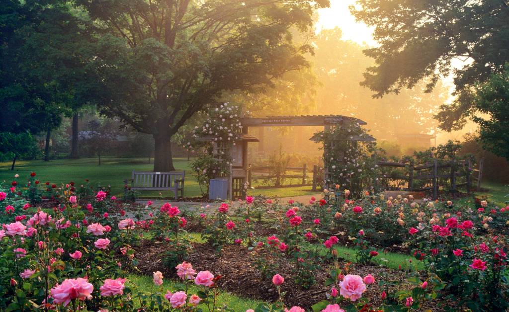 Columbus Park of Roses