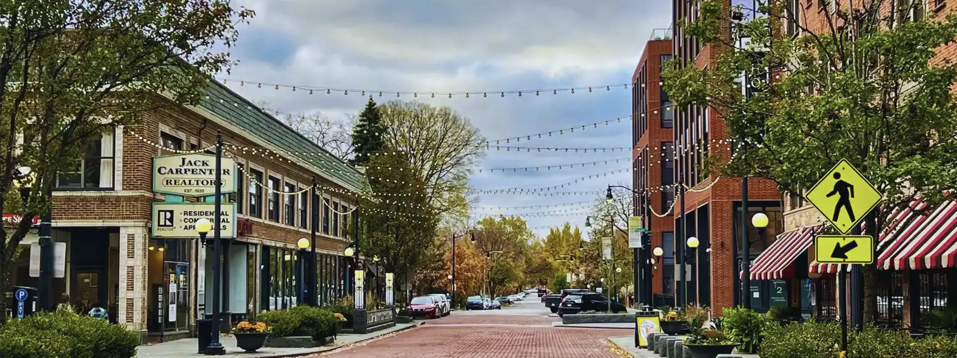 Chicago: Near West Suburbs (Oak Park, River Forest, Elmhurst, La Grange)