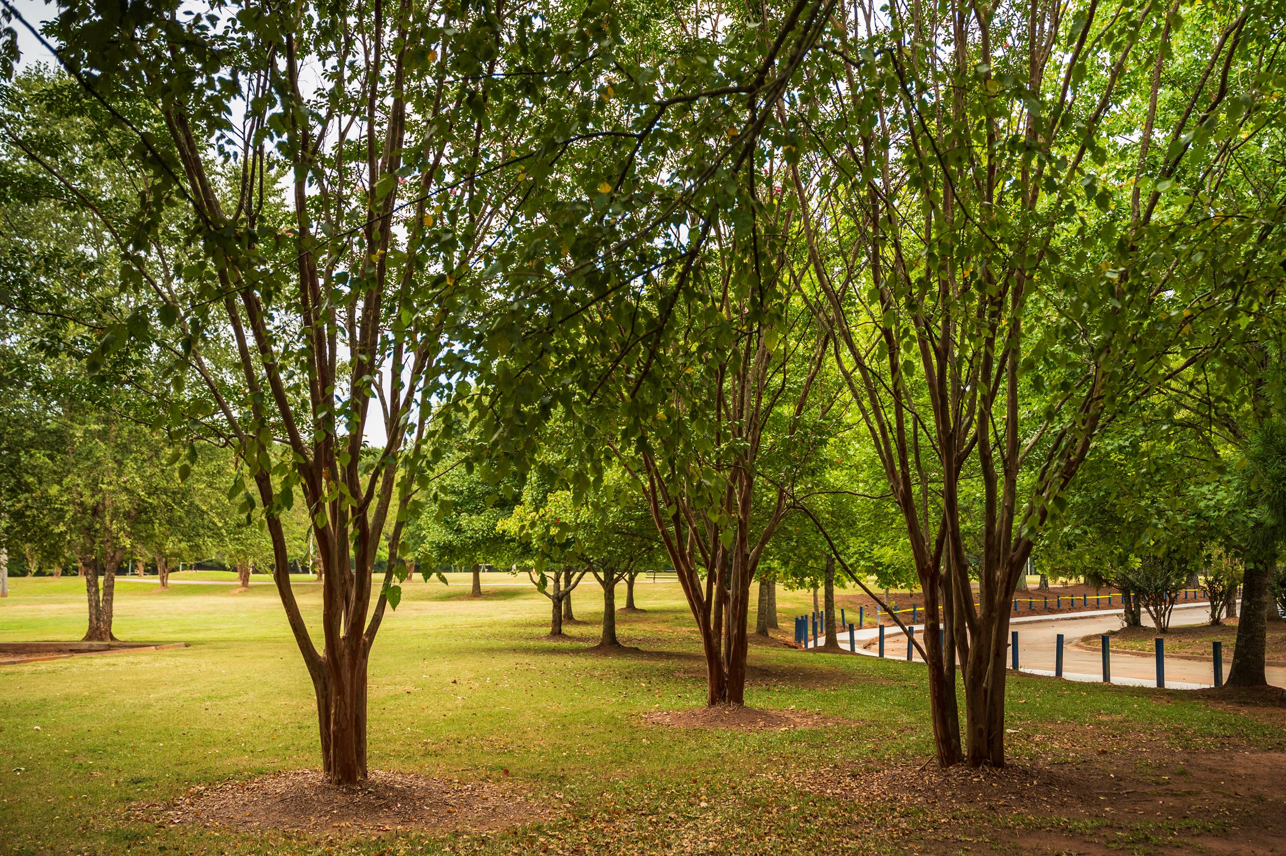 Wilkerson Mill - Farris Park, South Fulton