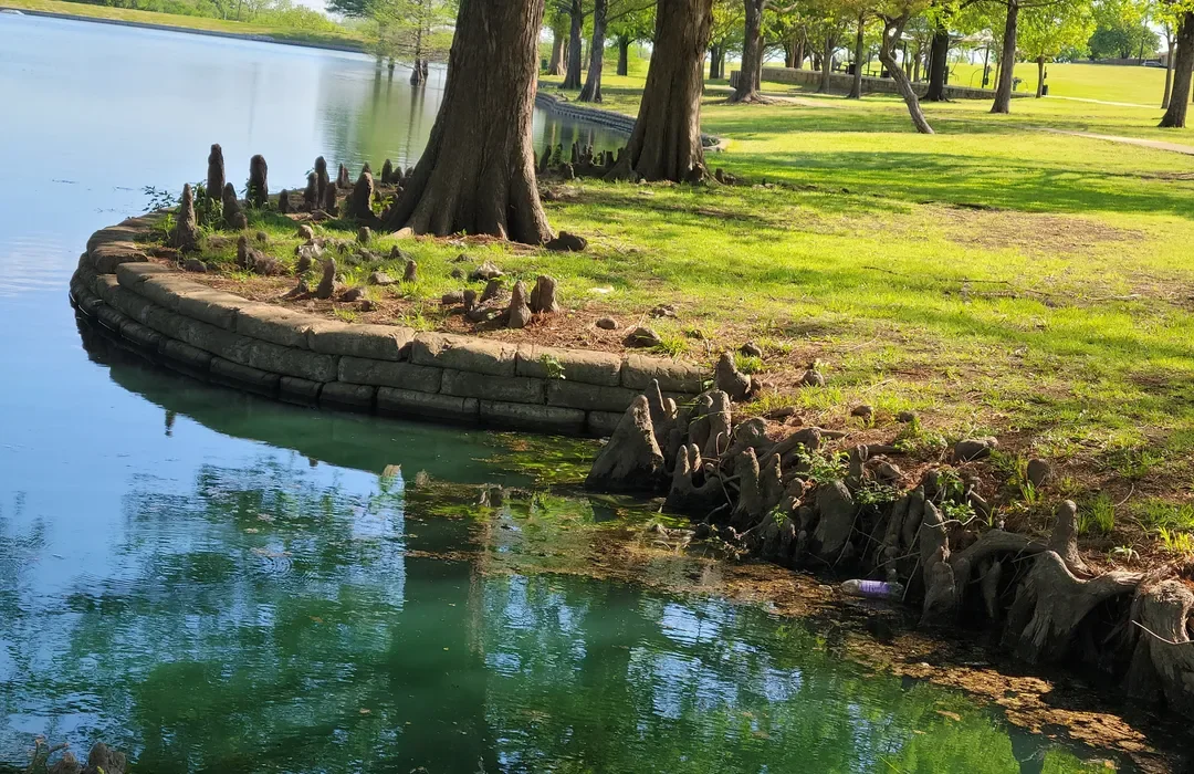 Palos Verdes Lake Park