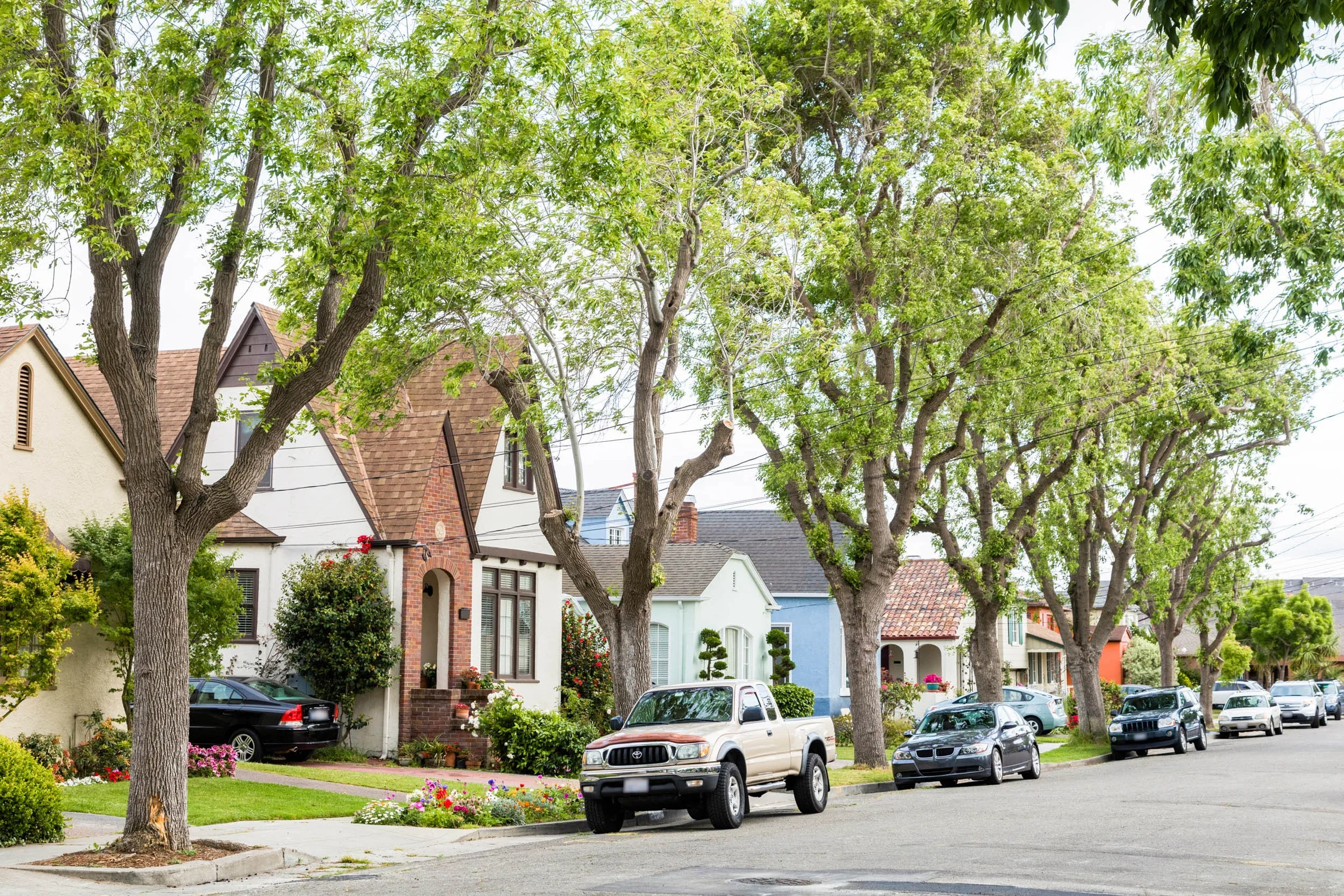 South Shore Neighborhood