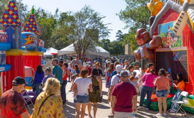 The Woodland's Children's Festival 