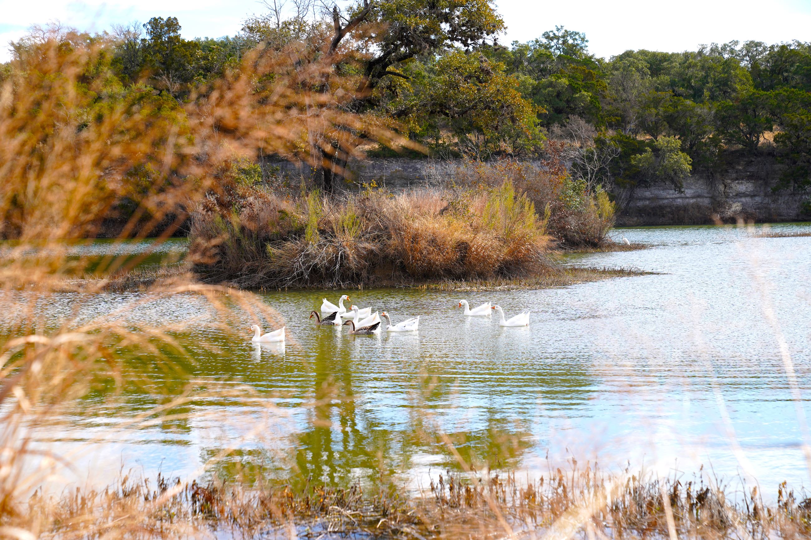 Brushy Creek Lake Park