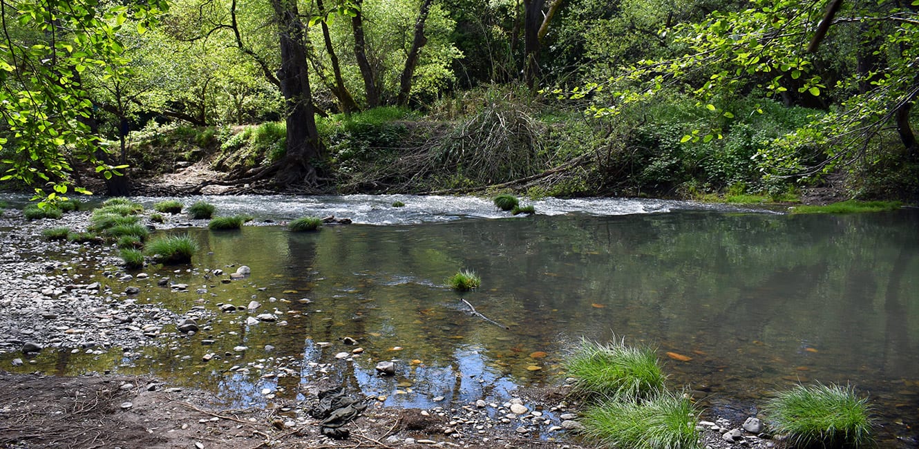 Maxwell Farms Regional Park
