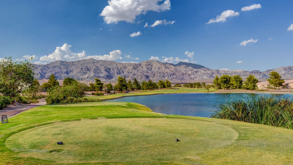 Aliante Neighborhood