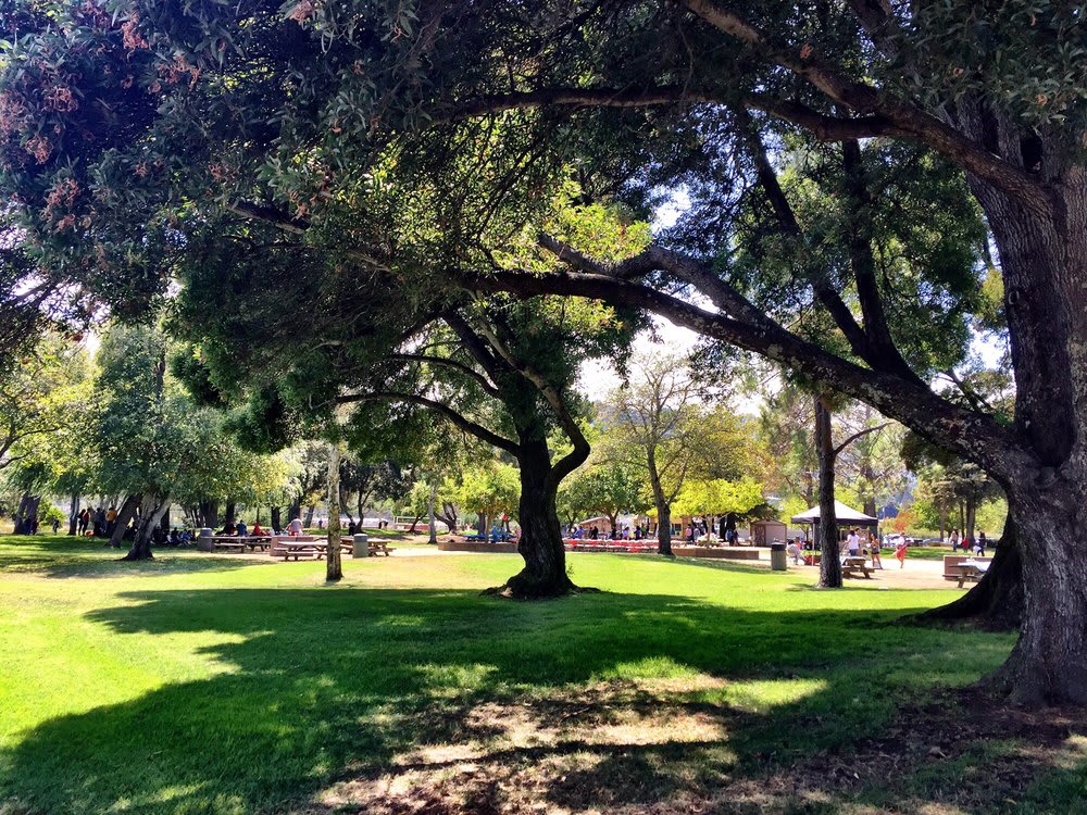 Piper Park, Larkspur