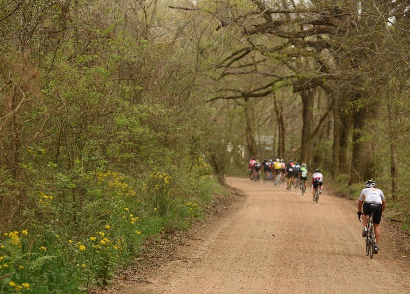 Rouge Roubaix bike race