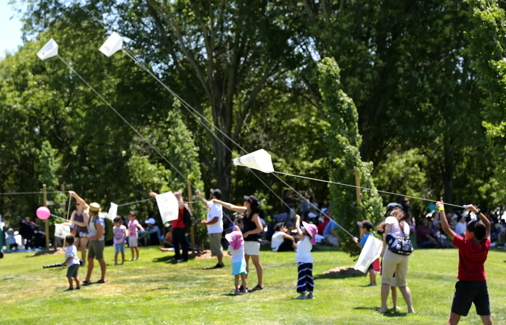 San Ramon Art & Wind Festival
