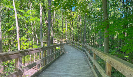 Robert Williams Nature and Historical Learning Center