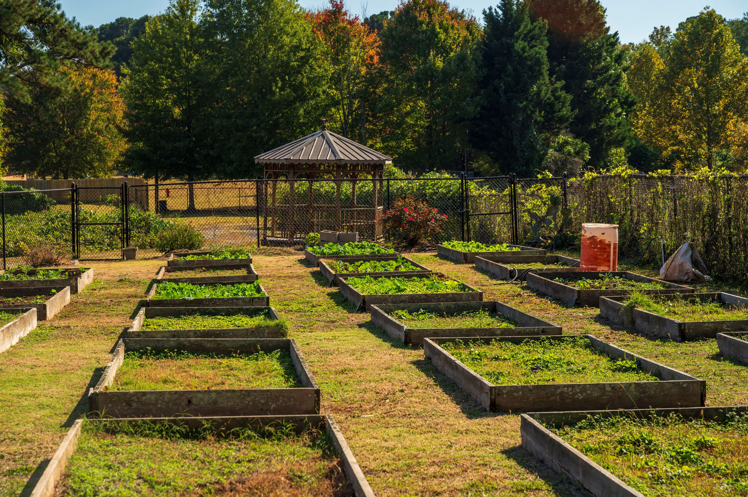 Mason Road Park & Community Garden, South Fulton