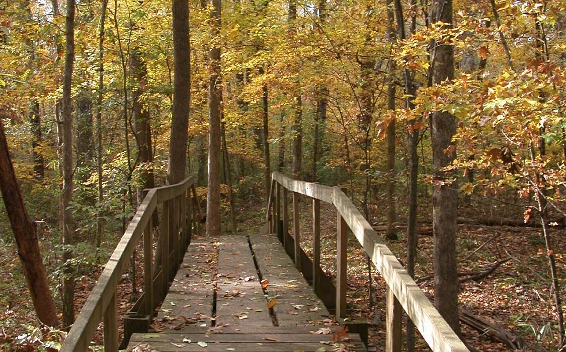 Walter B Jacobs Memorial Nature Park
