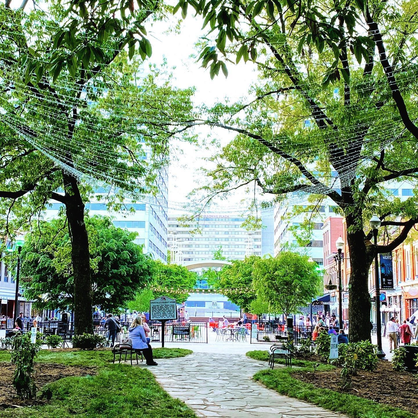 Lights at Market Square