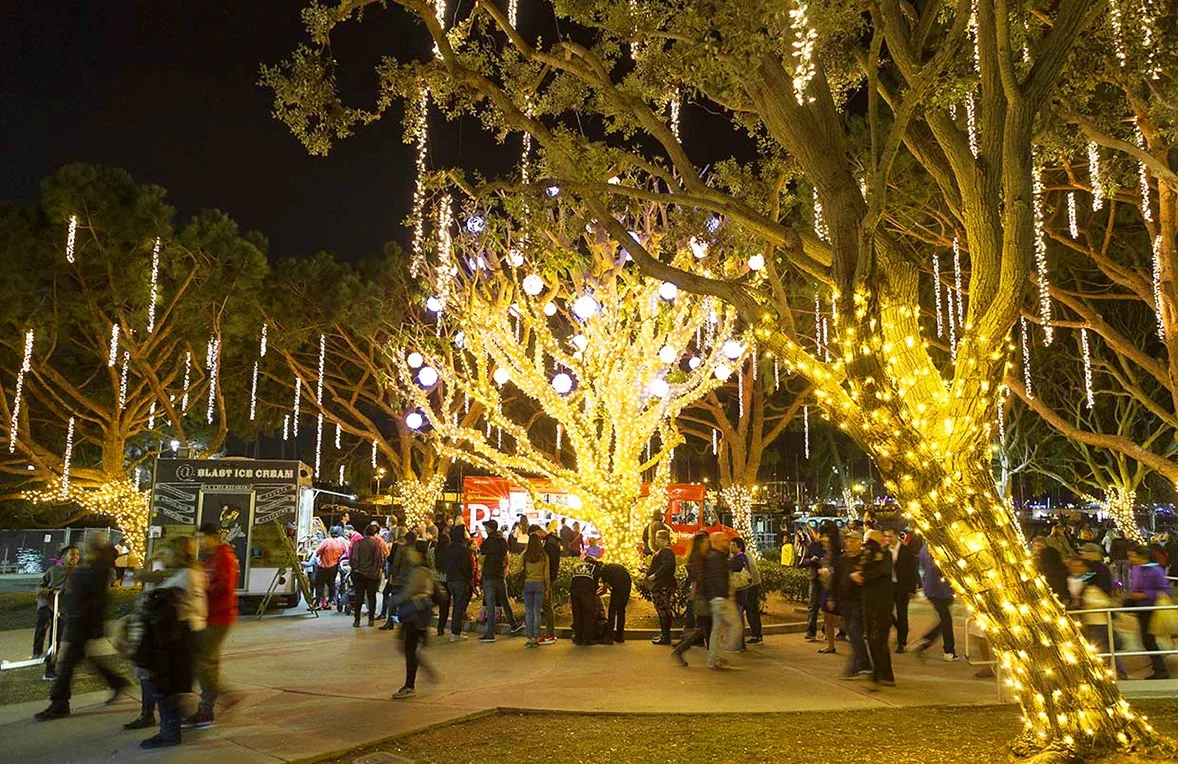 Lights in Marina del Rey