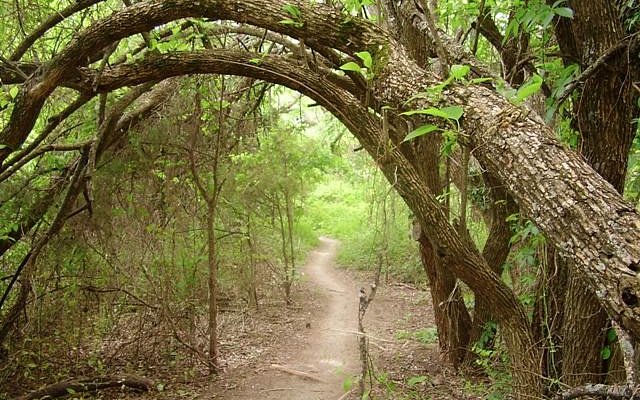 Erwin Park Hike & Bike Trail