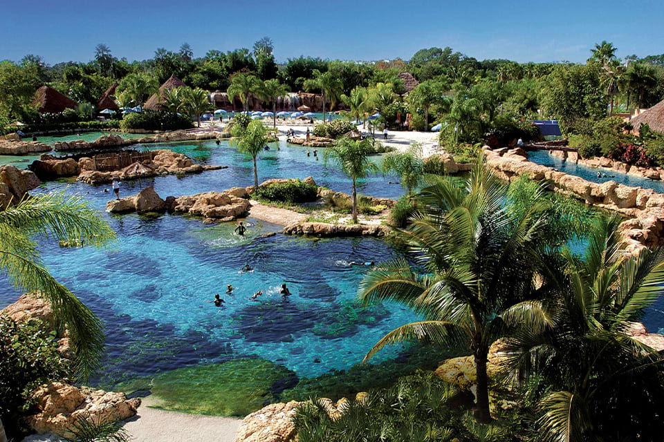  Discovery Cove Orlando