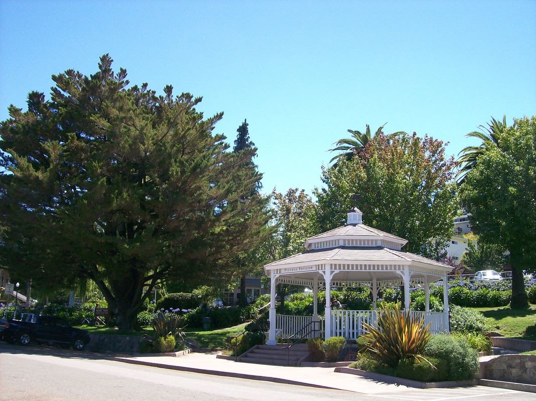 Corte Madera Town Park