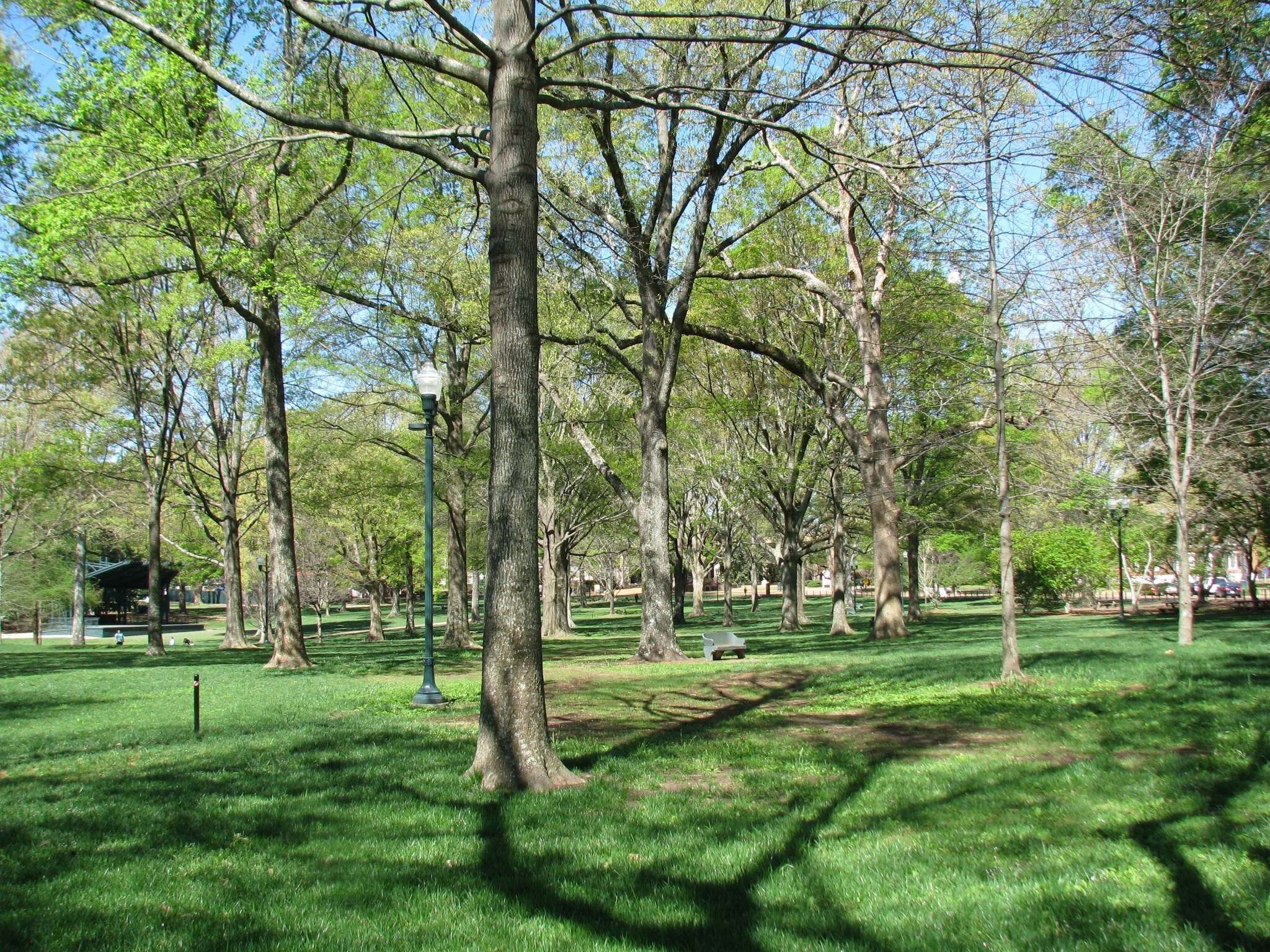 THE GROVE AT OLE MISS