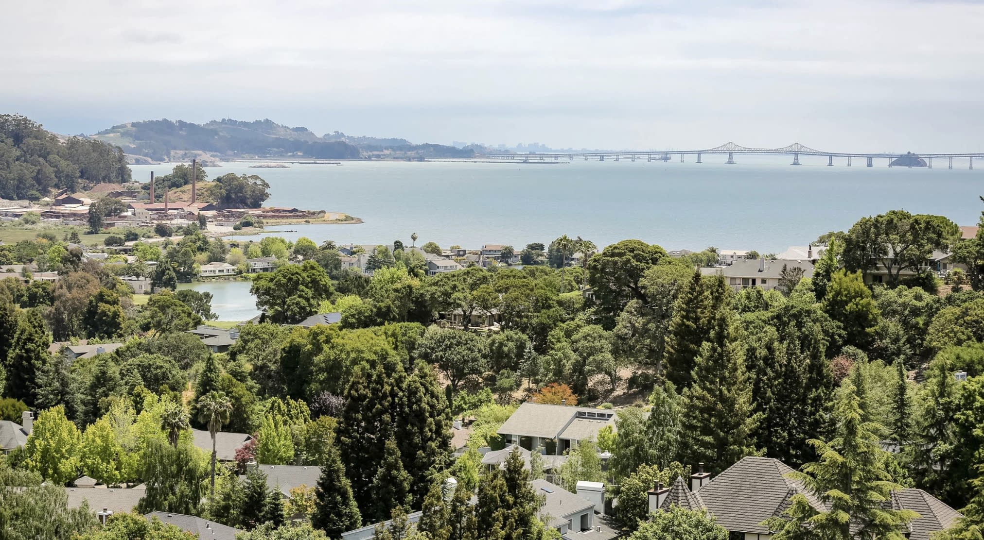 Bay Views from San Rafael