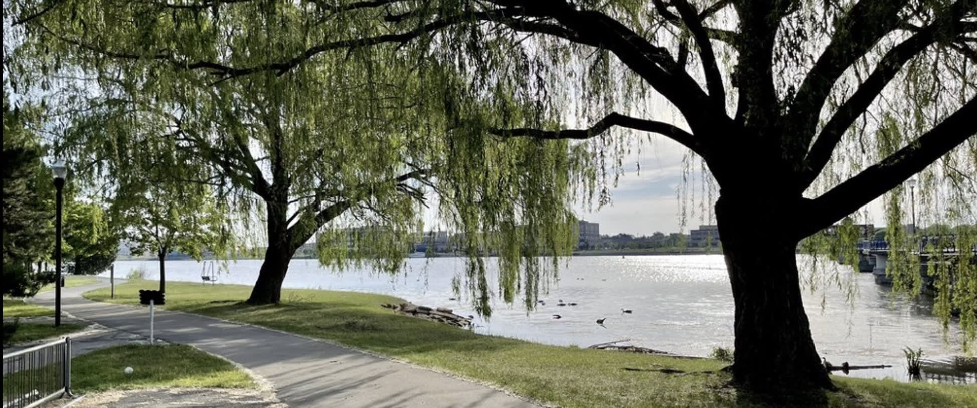 Flint: Western Lakes Region