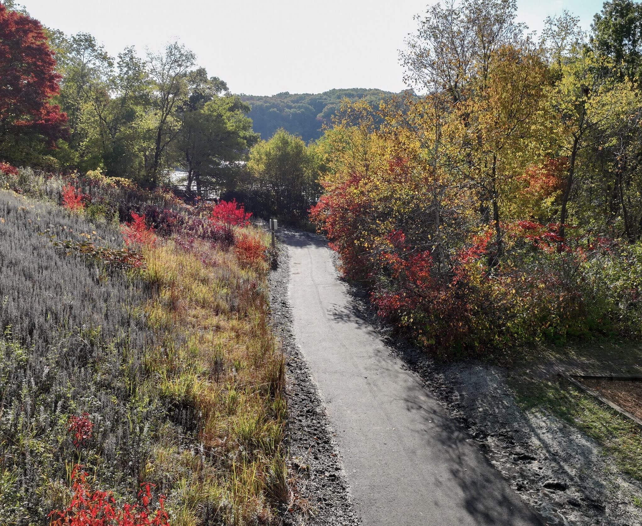 Jensen Lake Park Trail