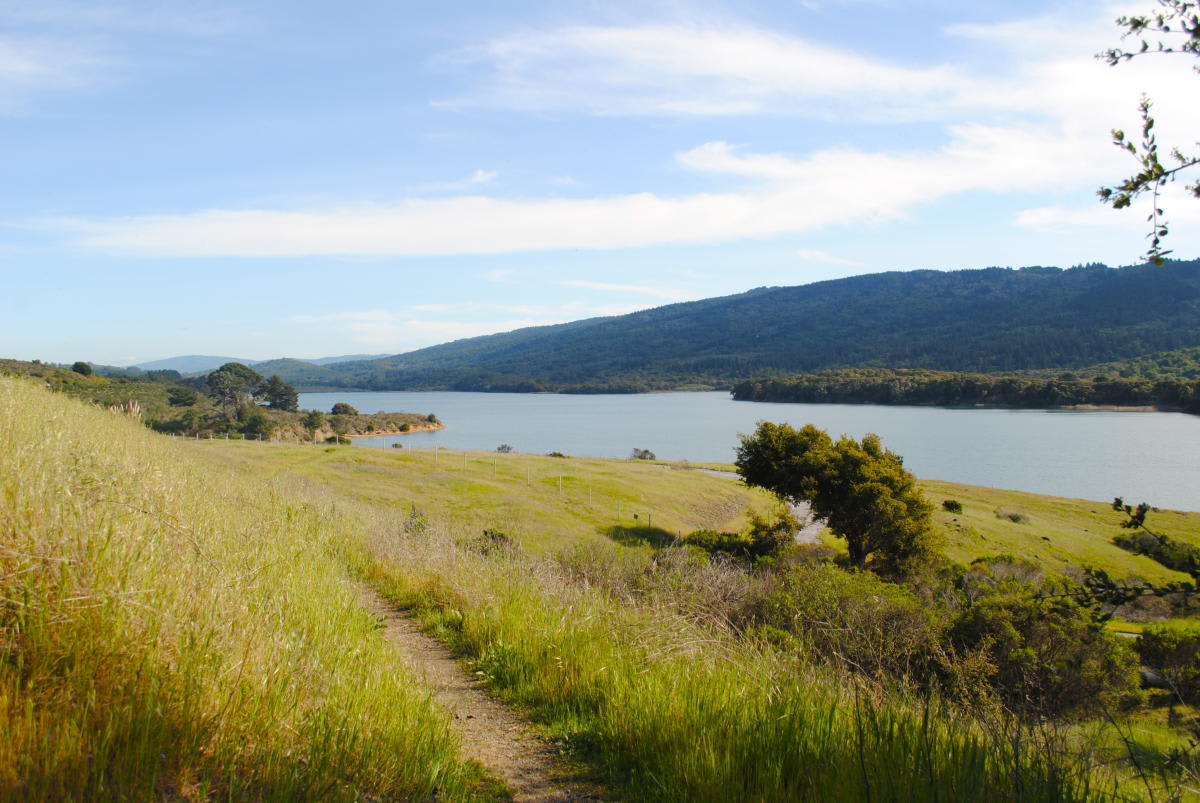 Crystal Springs Reservoir
